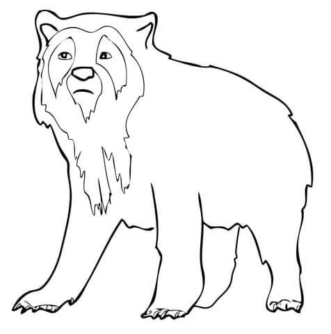 Spectacled Bear Coloring Page